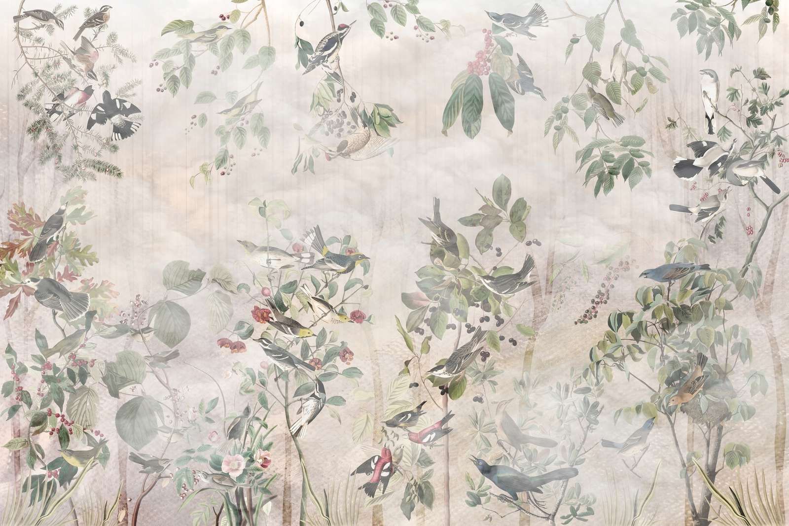 Waldvögel in Harmonie