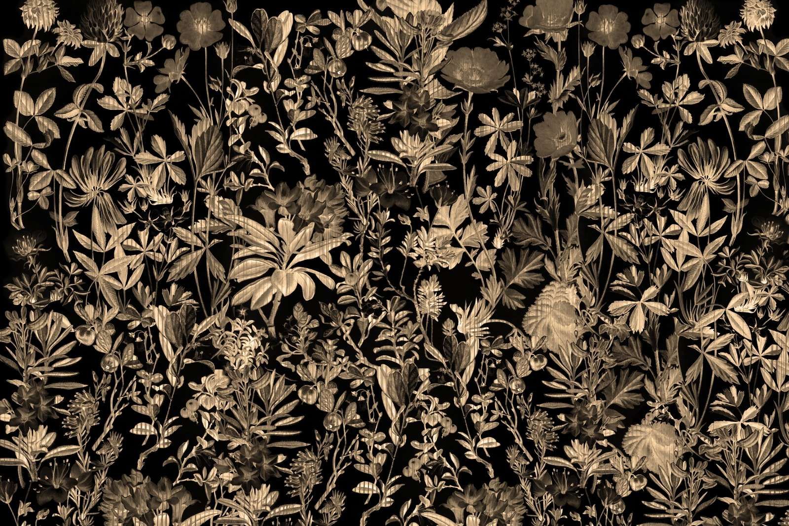 Garten Gerbarium Sepia