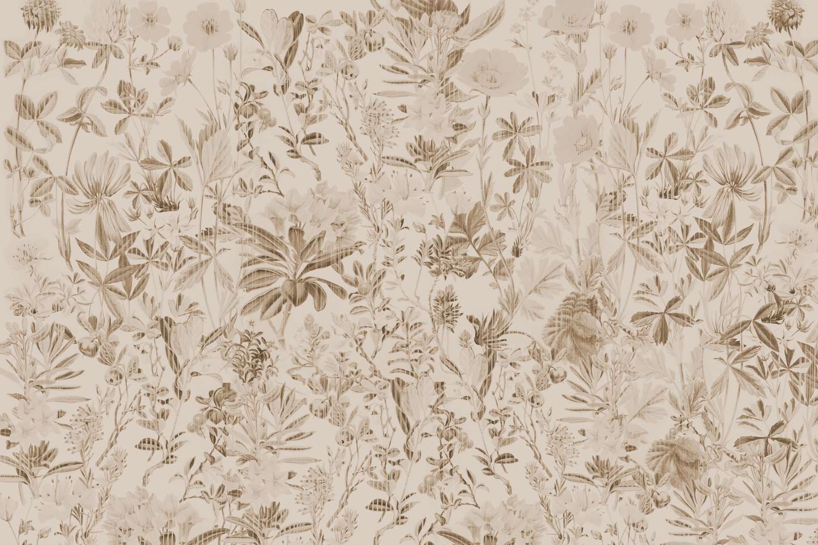 Garten Gerbarium Sepia Licht