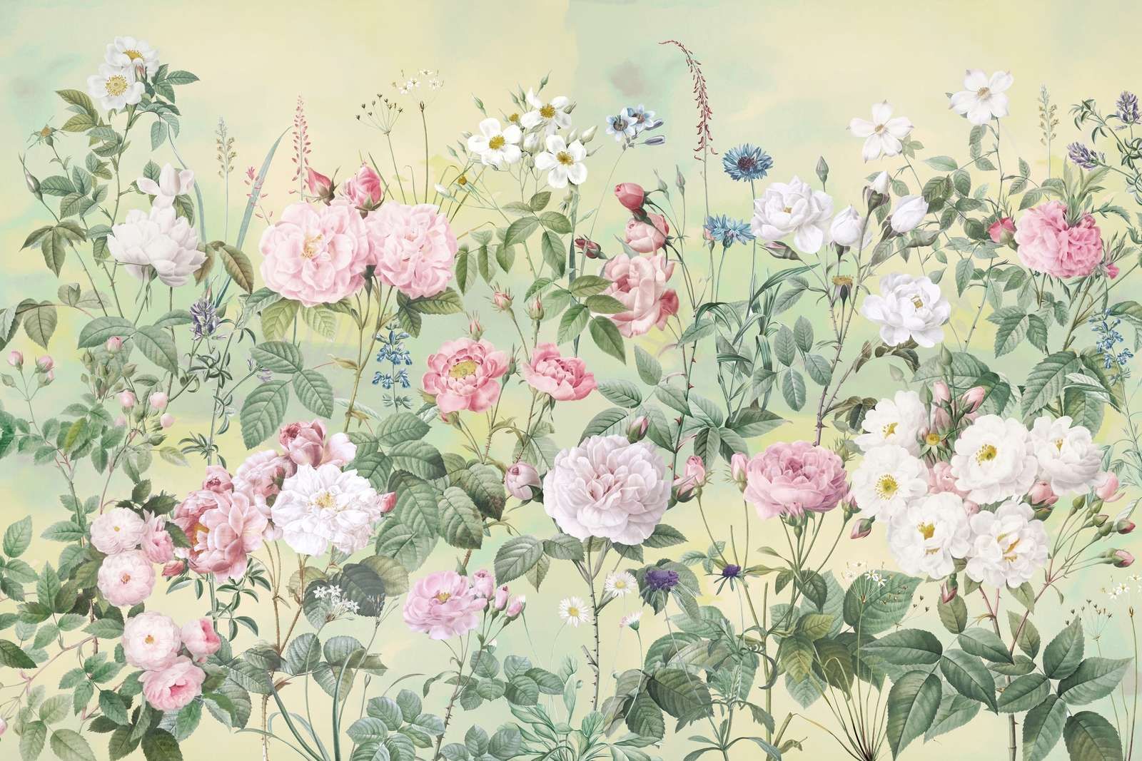 Romantischer Rosengarten