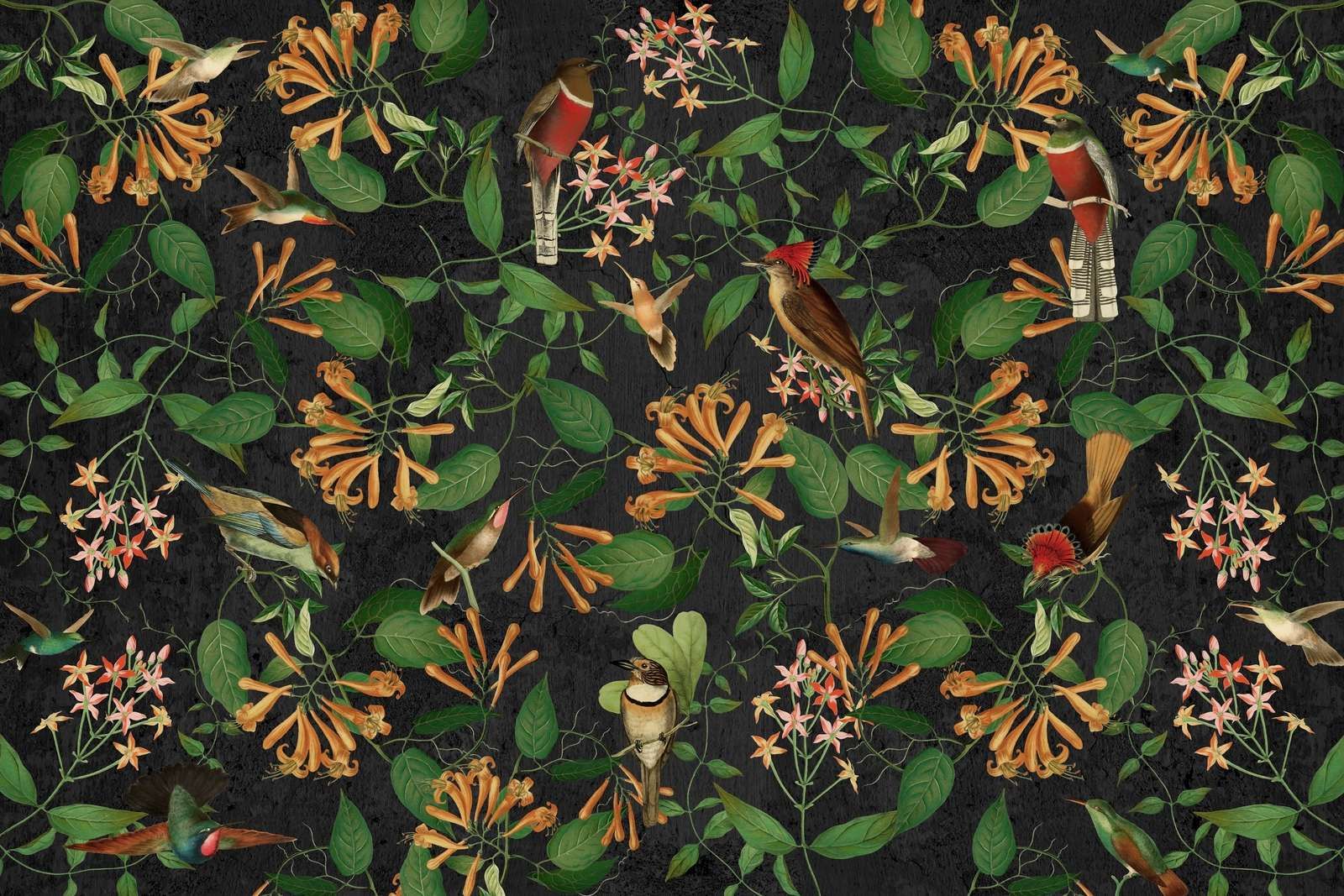 Mitternachtsgartenmelodie