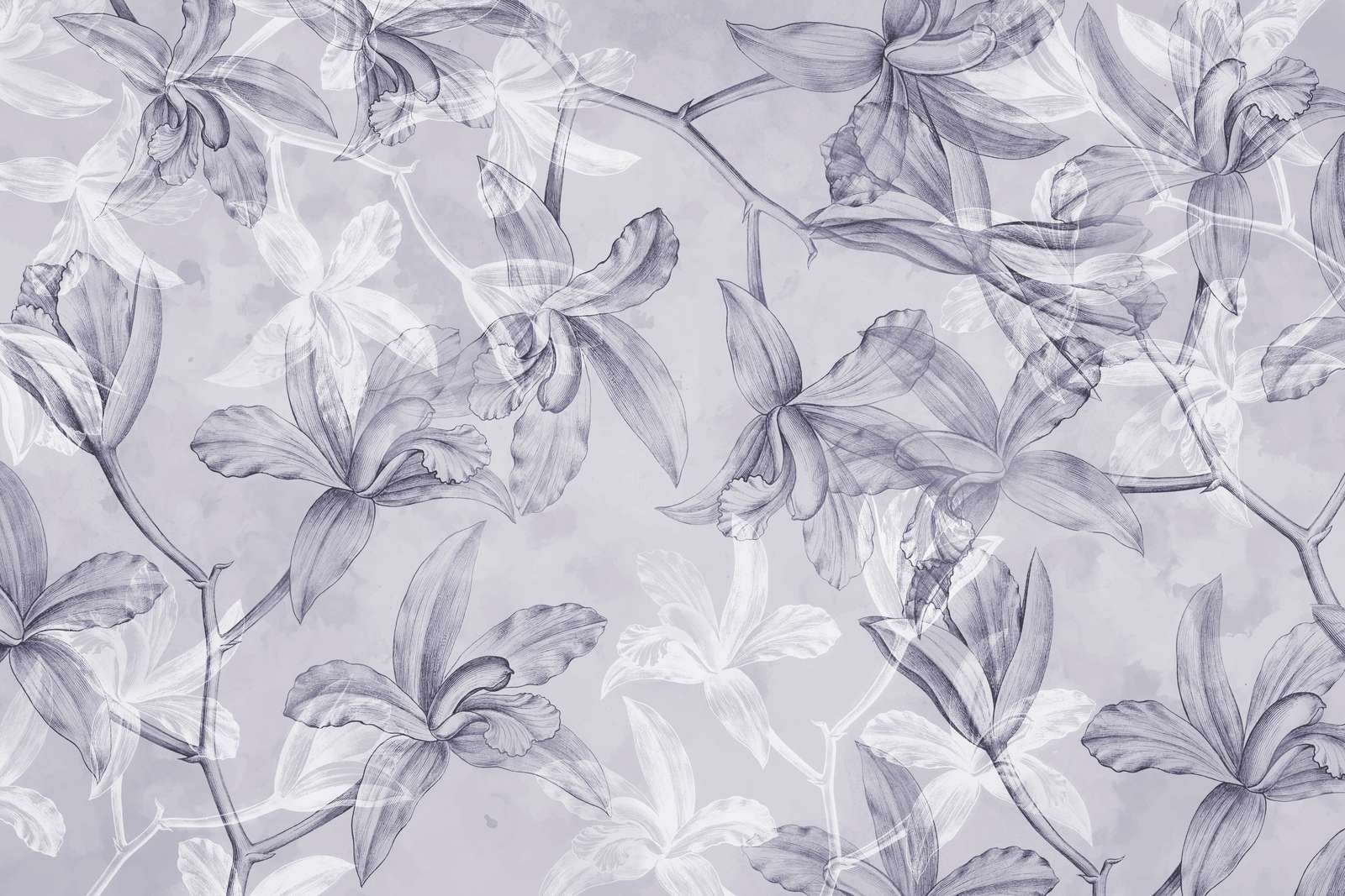 Orchideen Traumlandschaft Lila