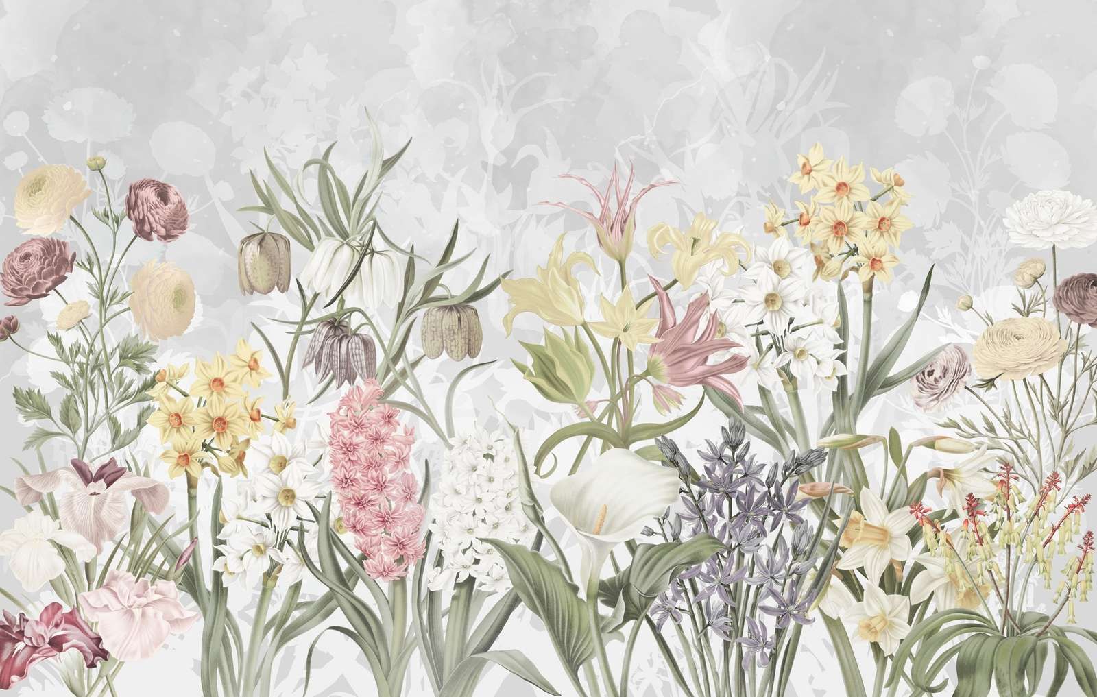 Frühjahrsblumen - Zartes Lavendel