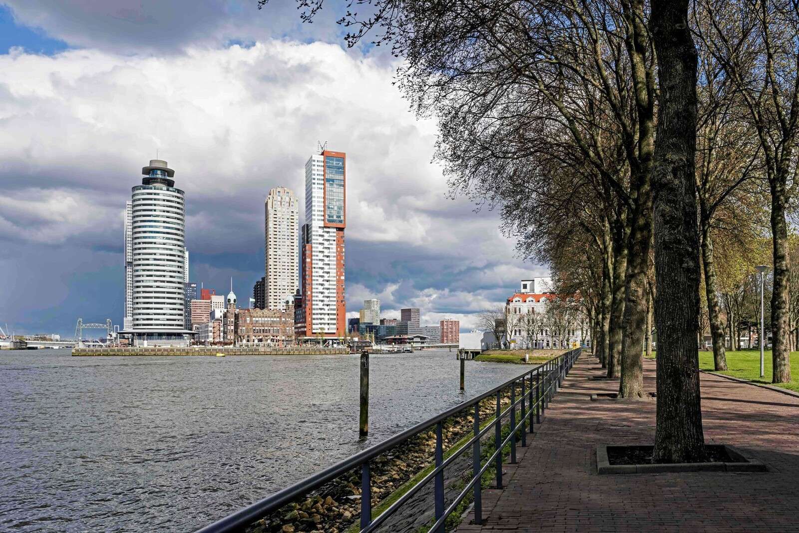 Rotterdamer Skyline vom Kai