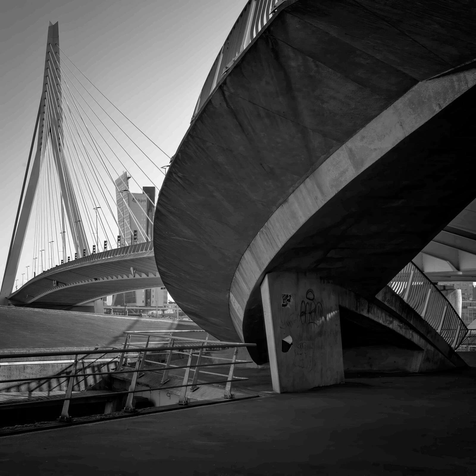 Erasmusbrücke und Stadtarchitektur