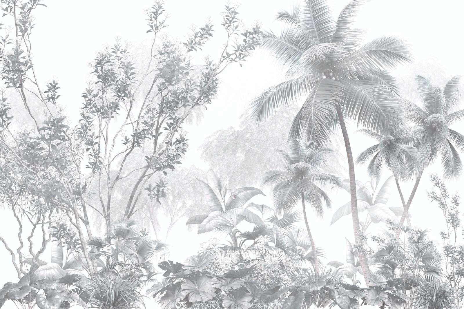 Tropische Mistpalmen