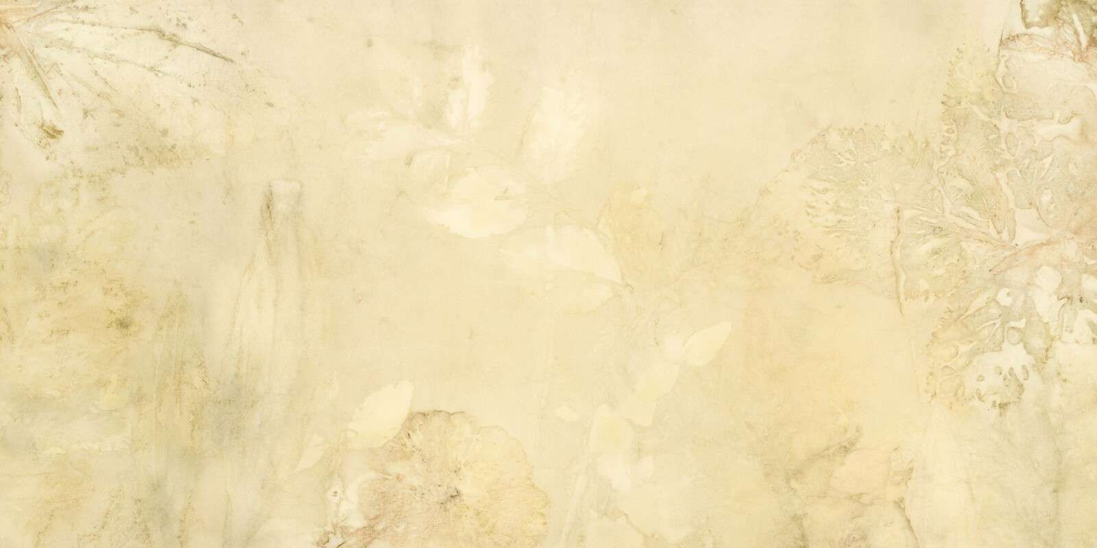 Weegbree und wilde Geranie - Gegenlicht