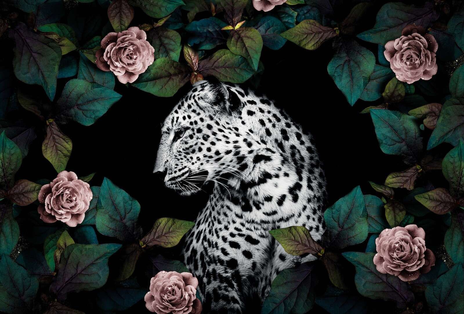 Leopard zwischen samtigen Blumen
