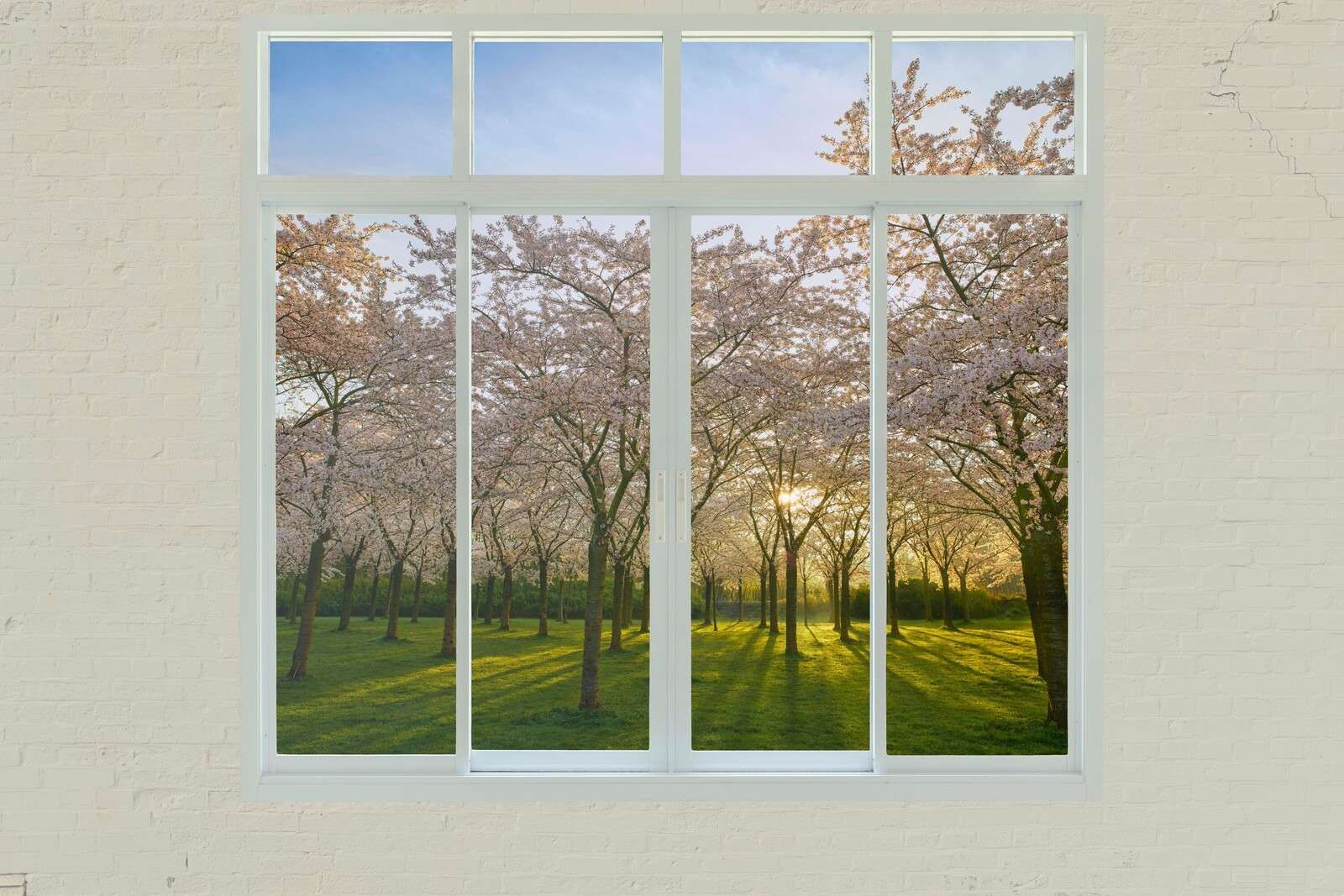 Bloesempark in der Frühlingssonne