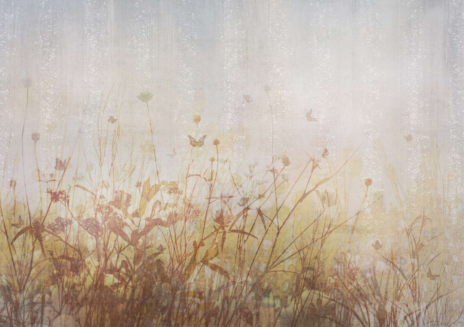 Sommerwiese mit Schmetterlingen