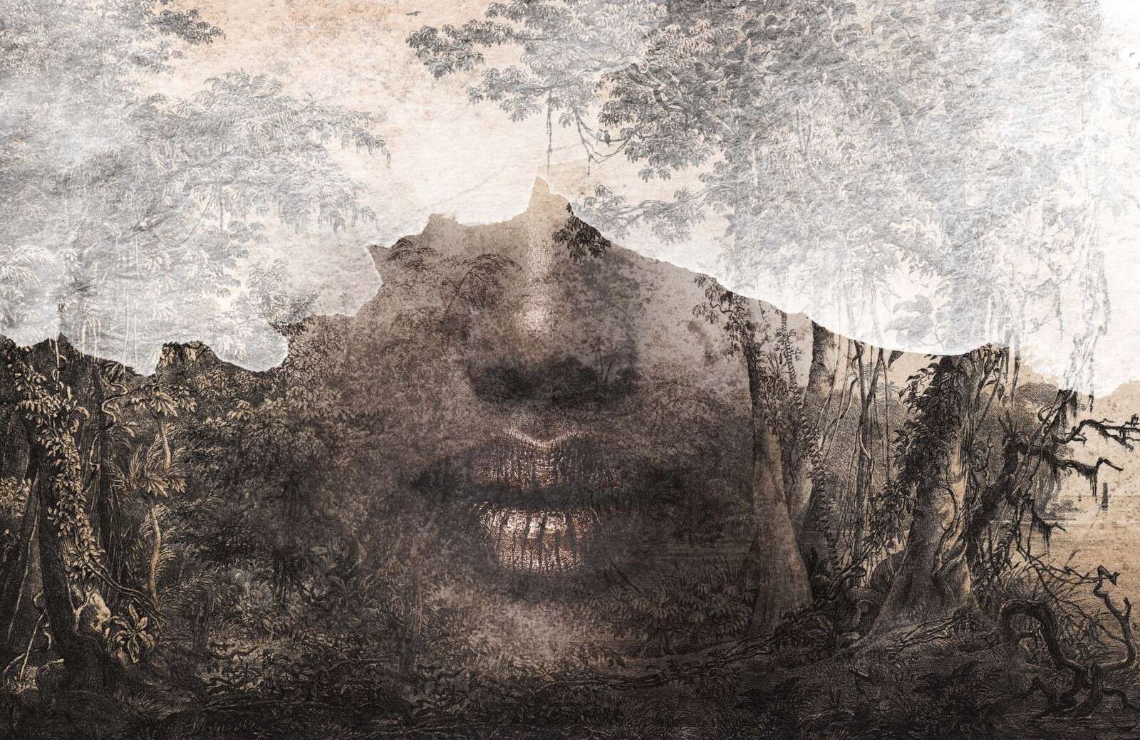 Die Seele des Waldes