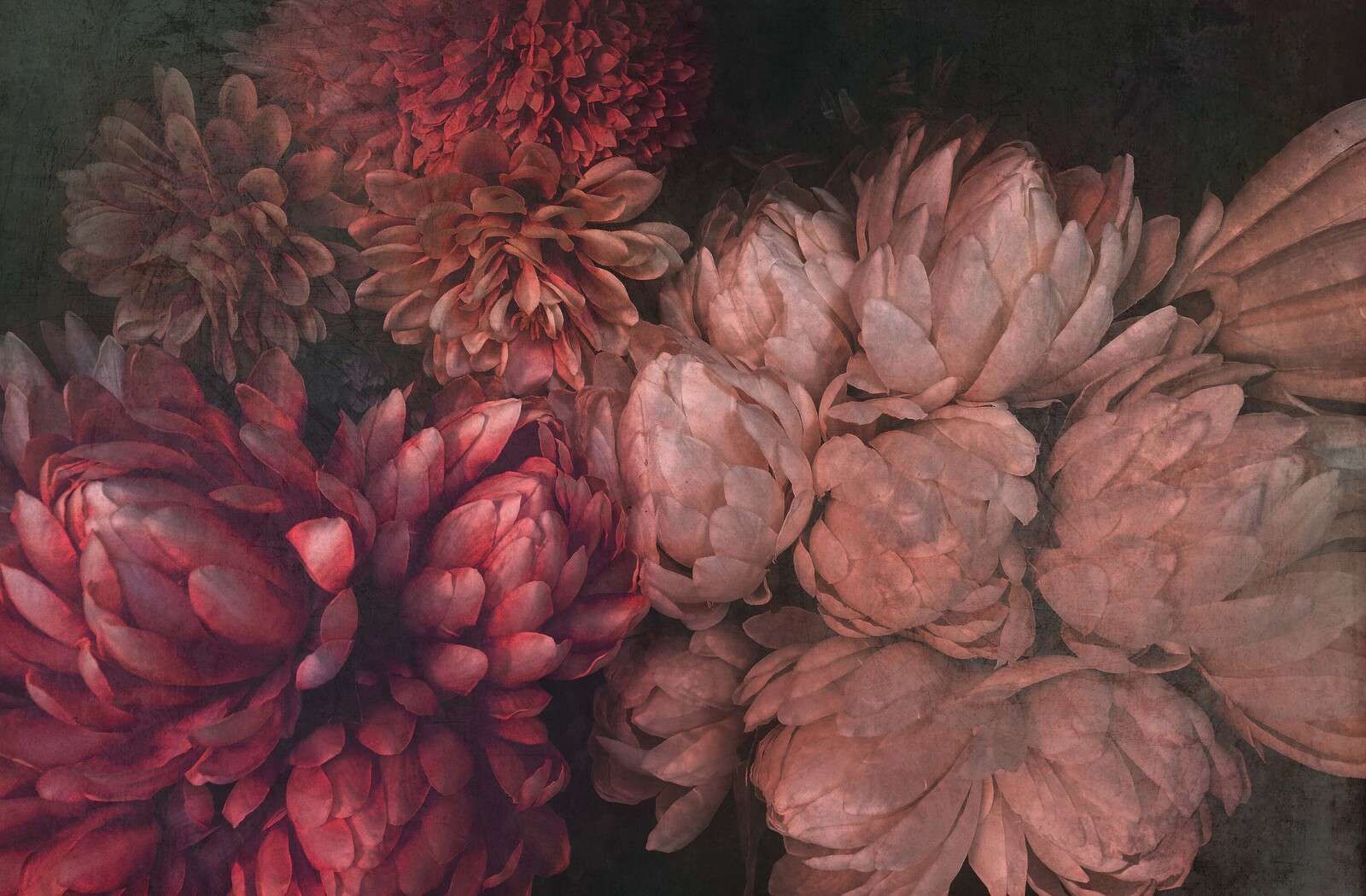 Chrysanthemen in tiefen Rosenrottönen