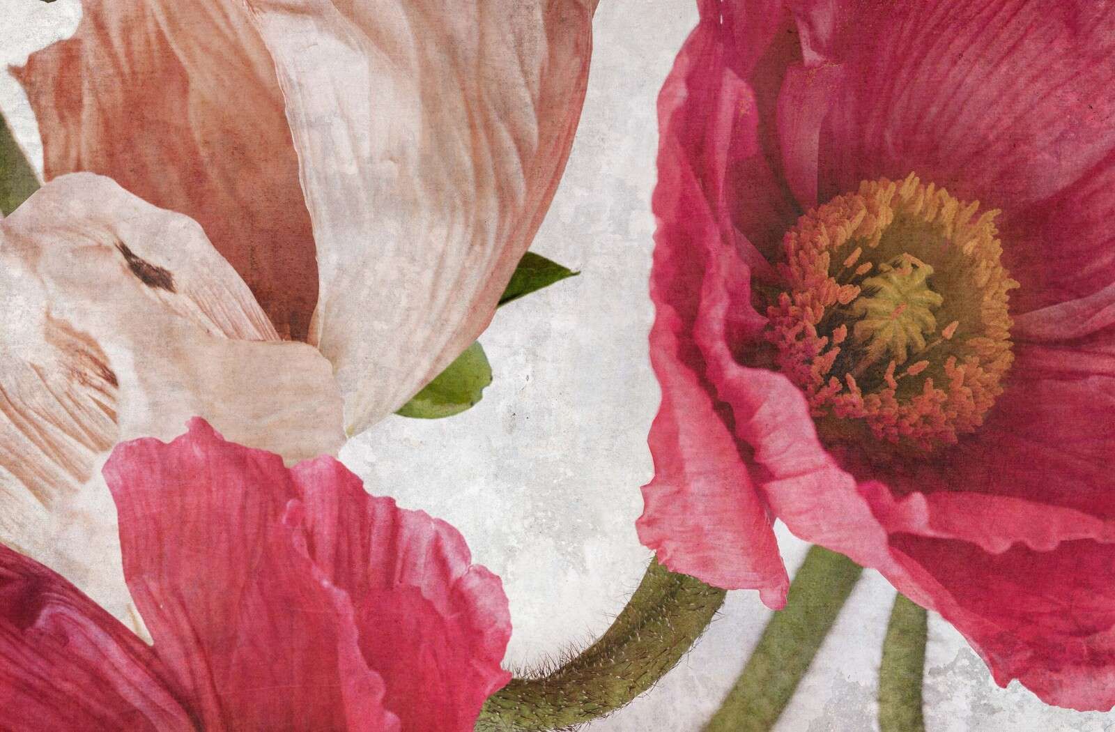 Klatschmohn in Rosa und Puderbeige