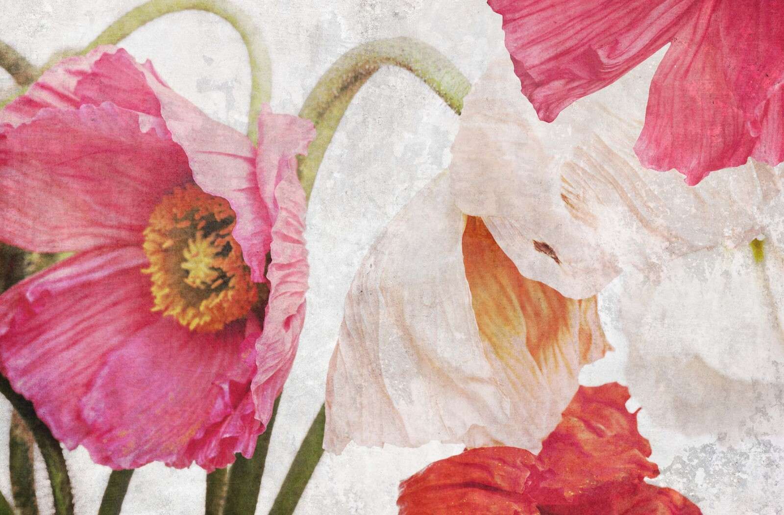 Tanzende Mohnblumen im Sommerhimmel