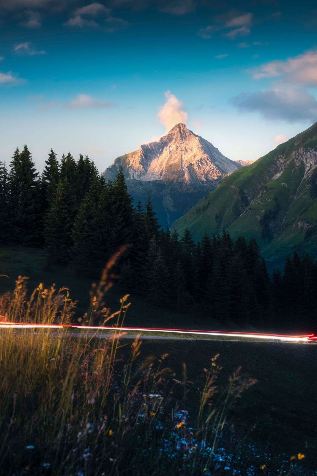 Abendlicht auf Alpengipfel mit Blumenfeld.
