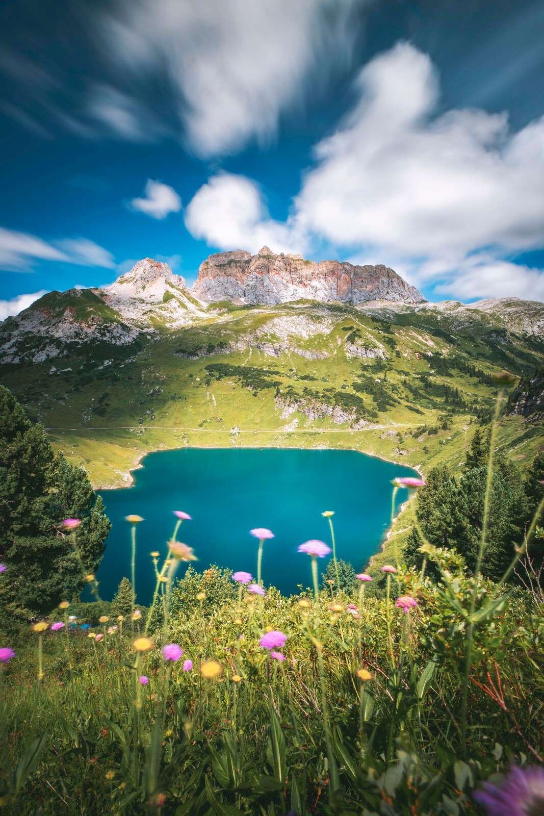 Blumenwiese am klaren Bergsee