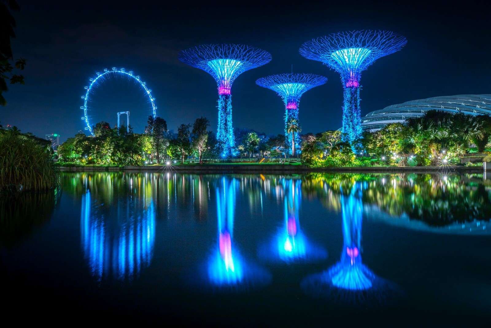 Futuristische Lichtbäume am Wasser