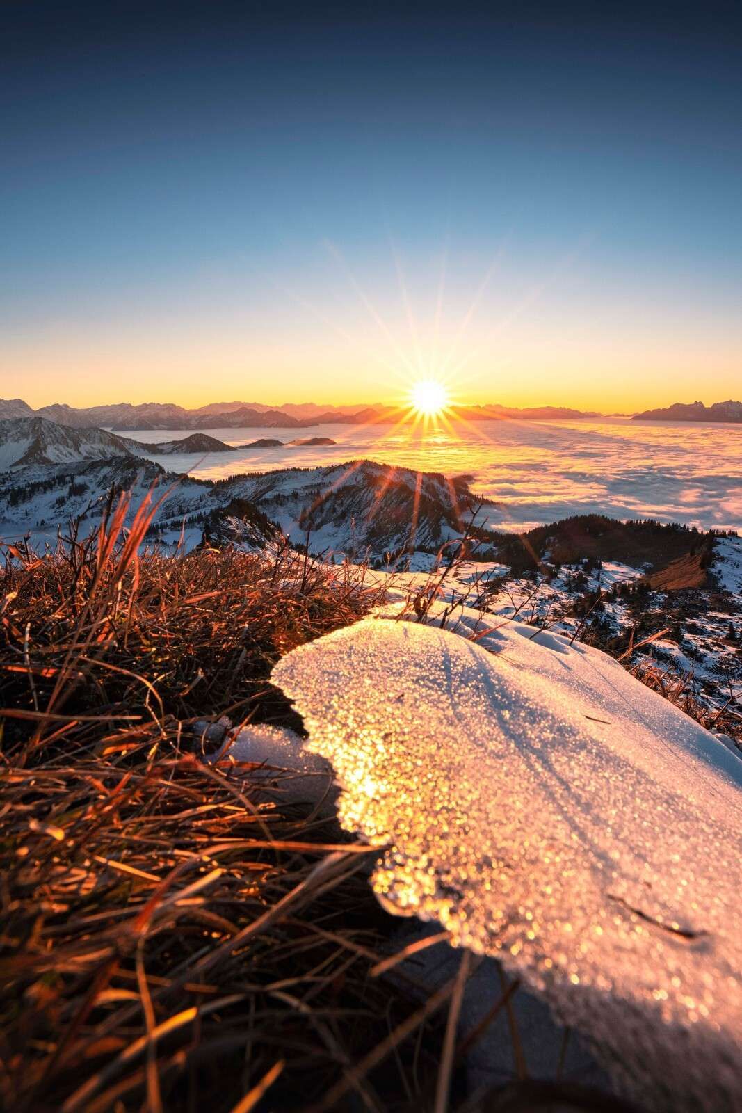 Morgensonne auf glitzernder Bergwiese
