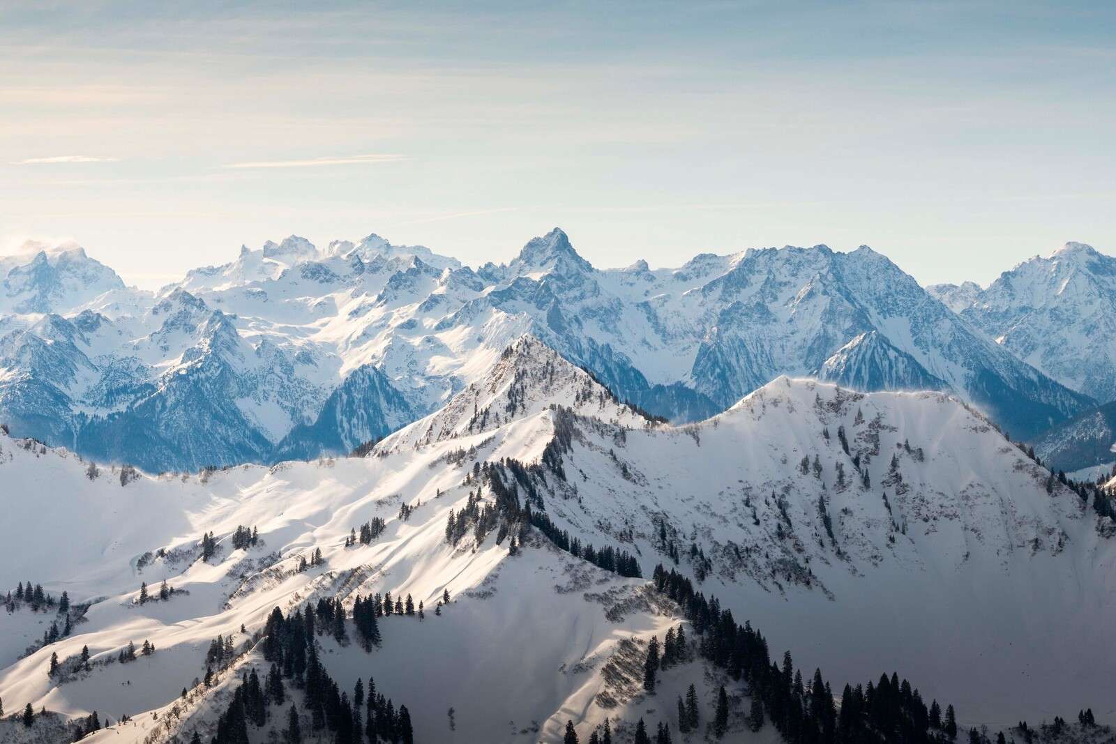 Winterliche Bergketten mit verschneiten Tannenrücken.