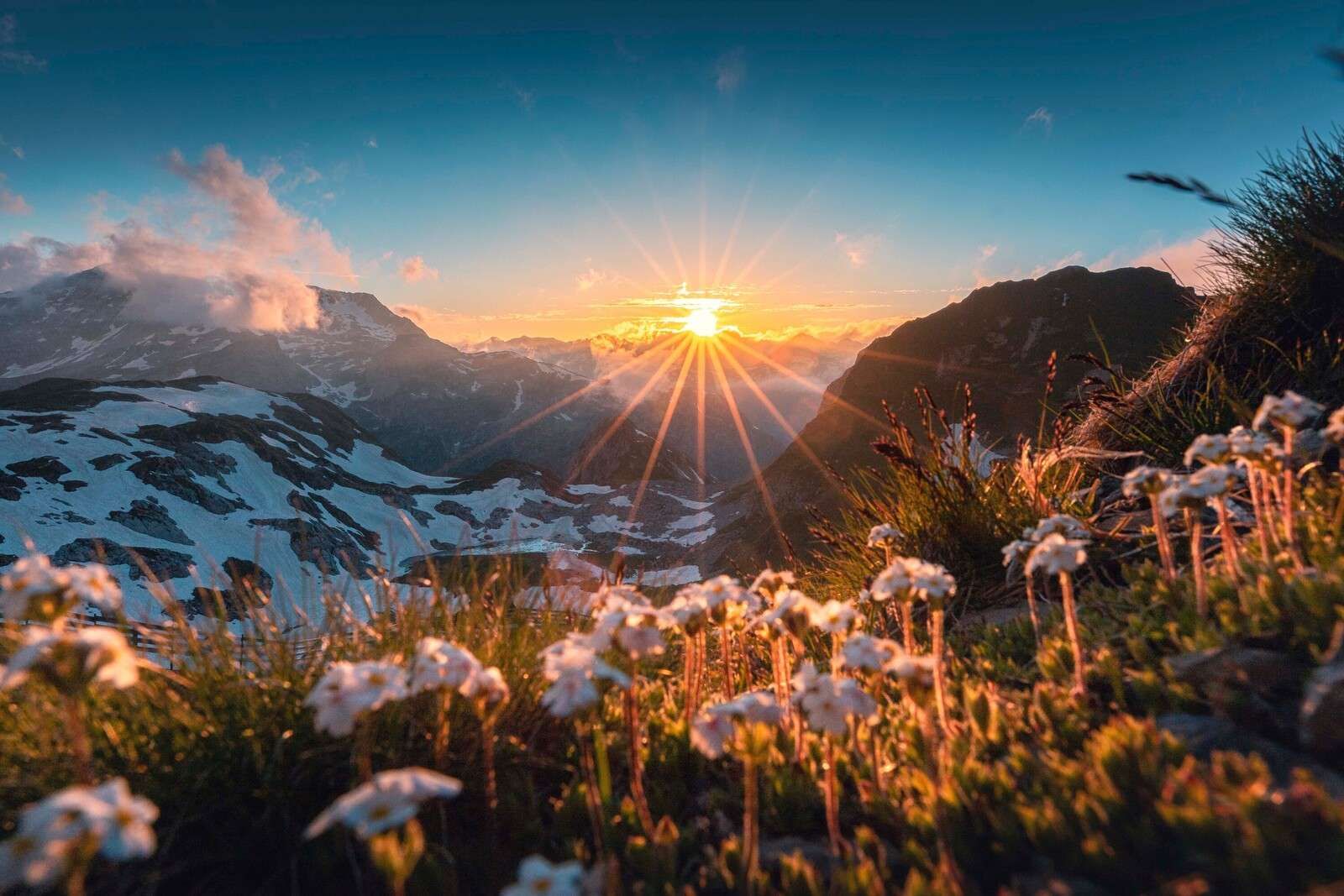 Sonnenschein über Alpenwiese