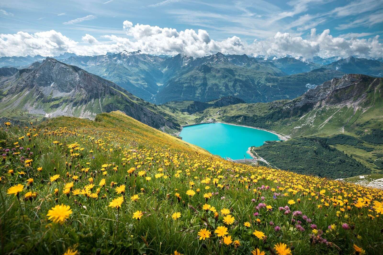 Blumenwiese über türkisfarbenem Bergsee