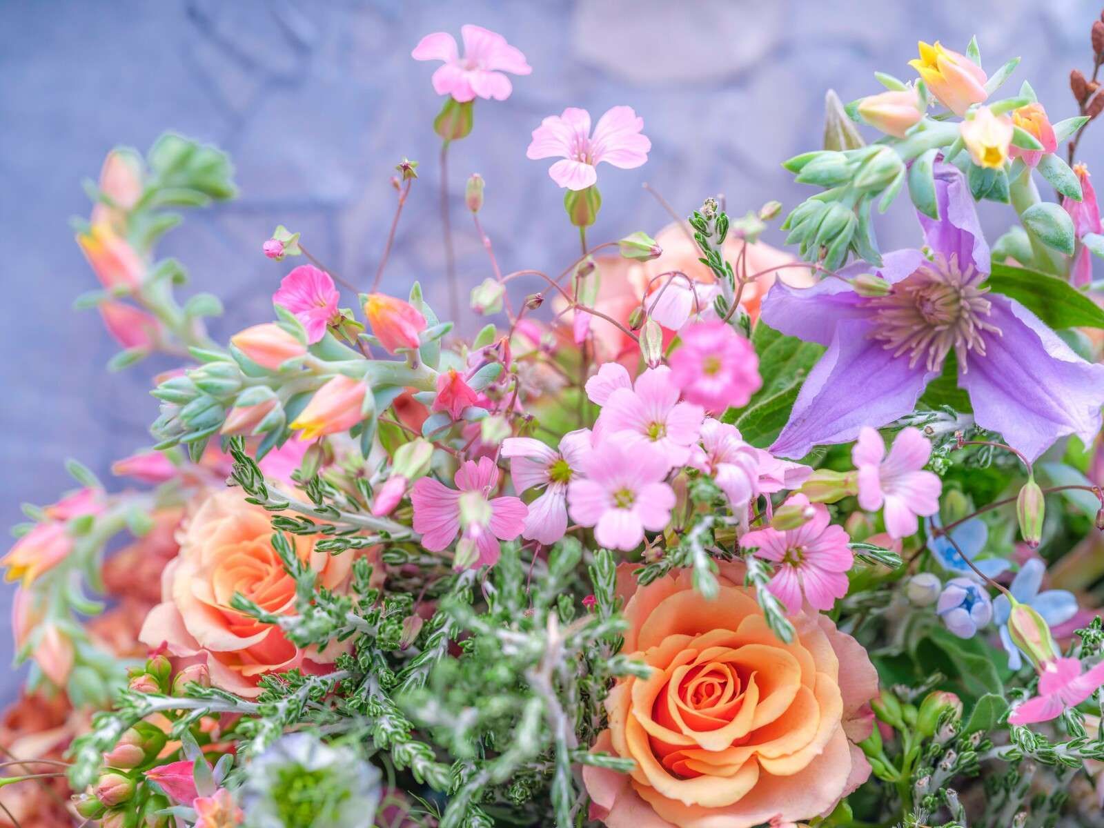 Rosen und gemischte Blumen