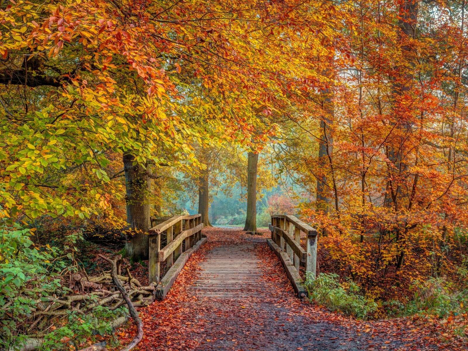 Holzbrücke im Herbstwald