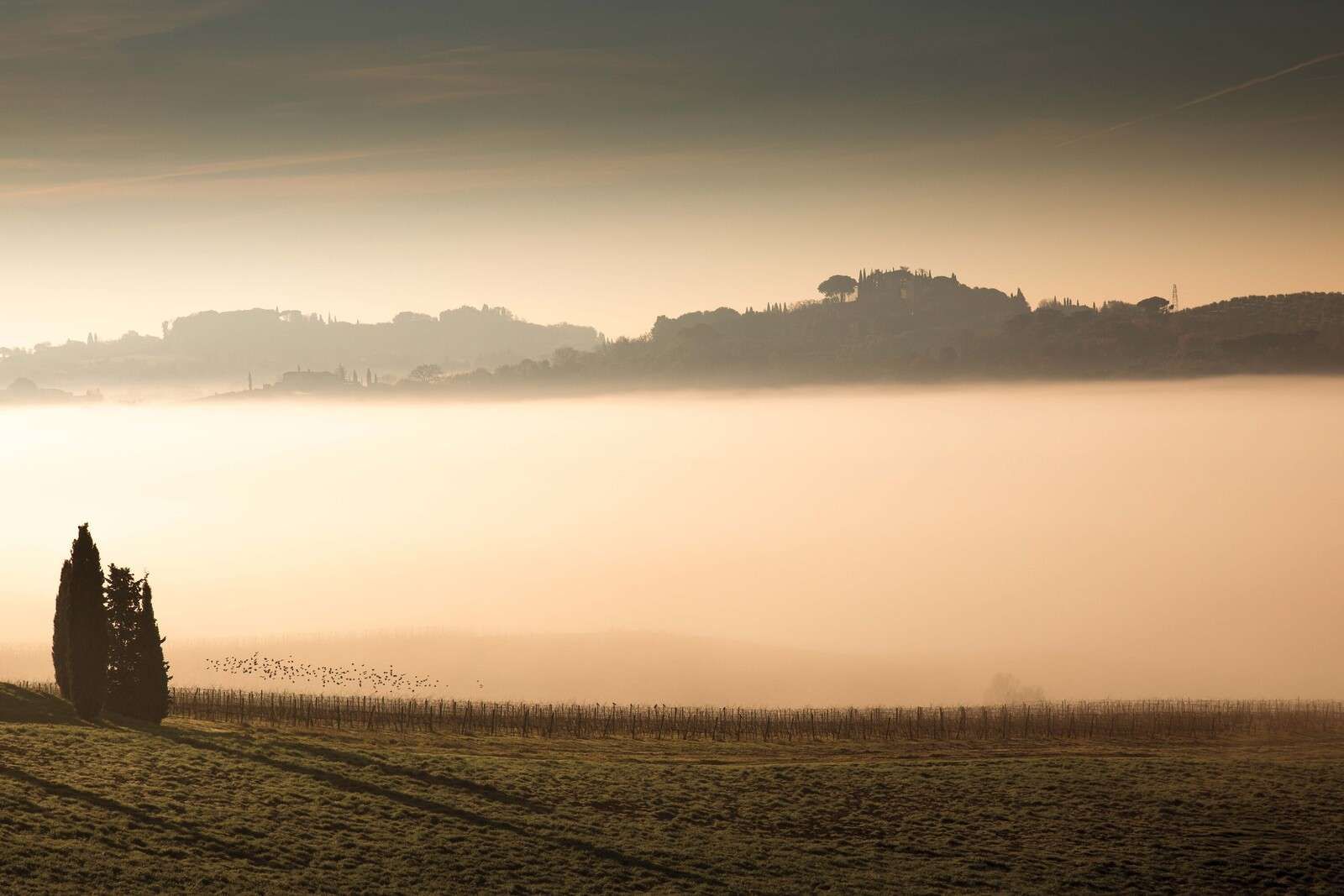 Hügel im toskanischen Morgennebel