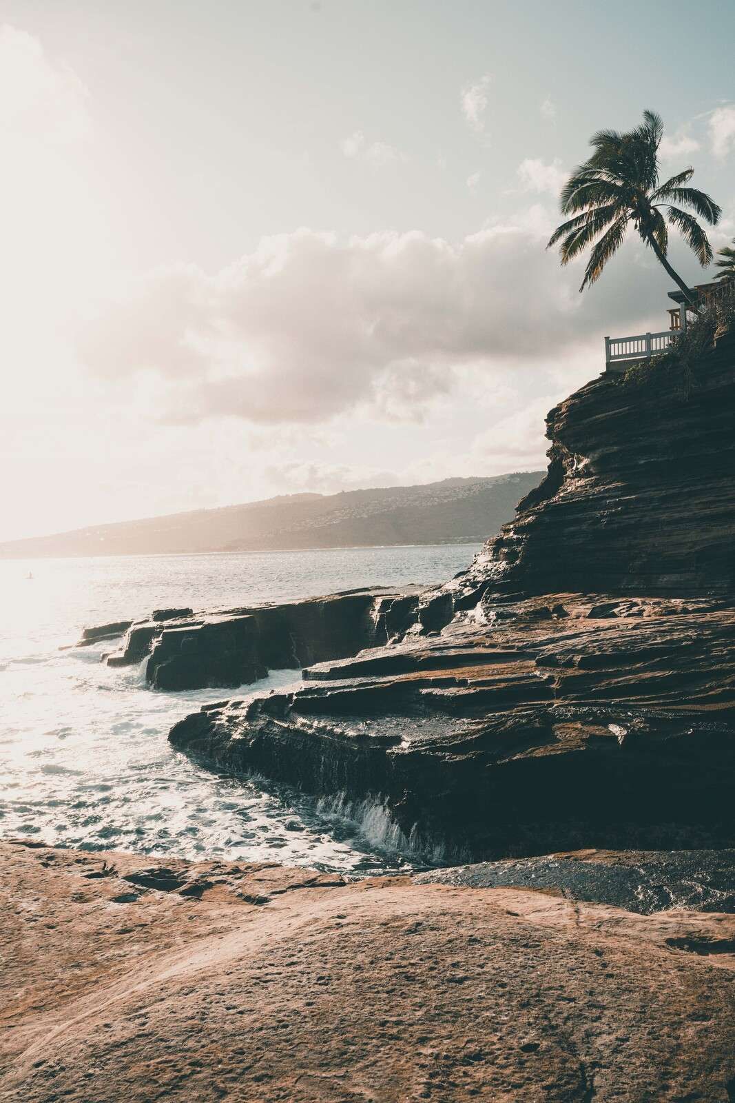 Felsige Küste mit einsamem Palmenbaum.