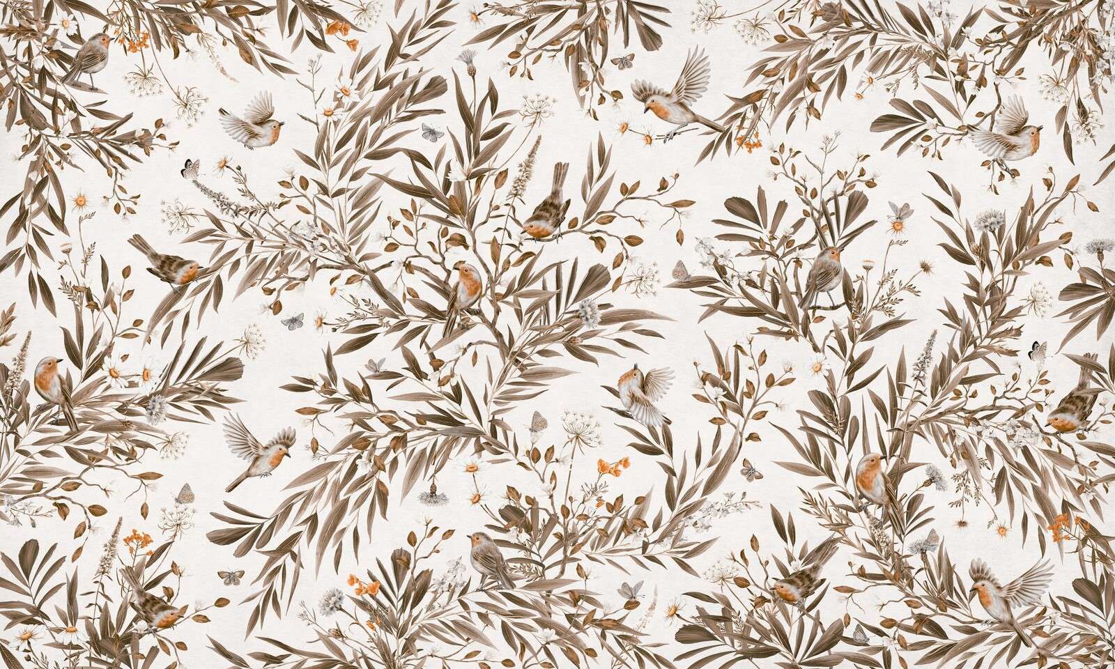 Playful Robins - Vintage - White