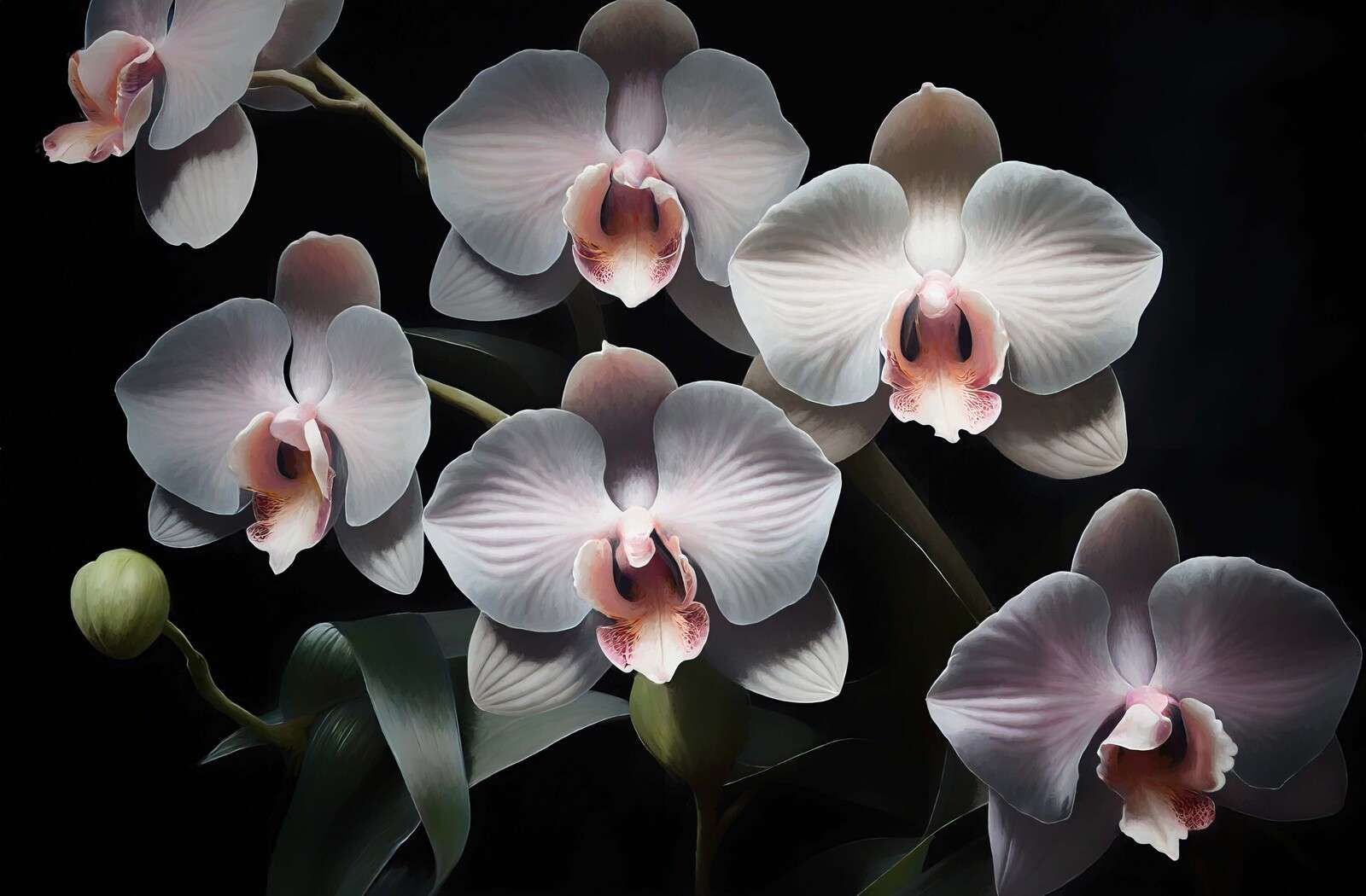 Weiße Orchideen mit rotem Herz