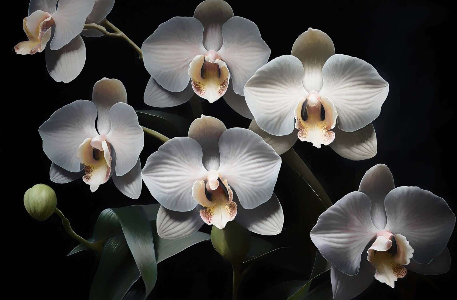 Weiße Orchideen mit warmem Herzen.