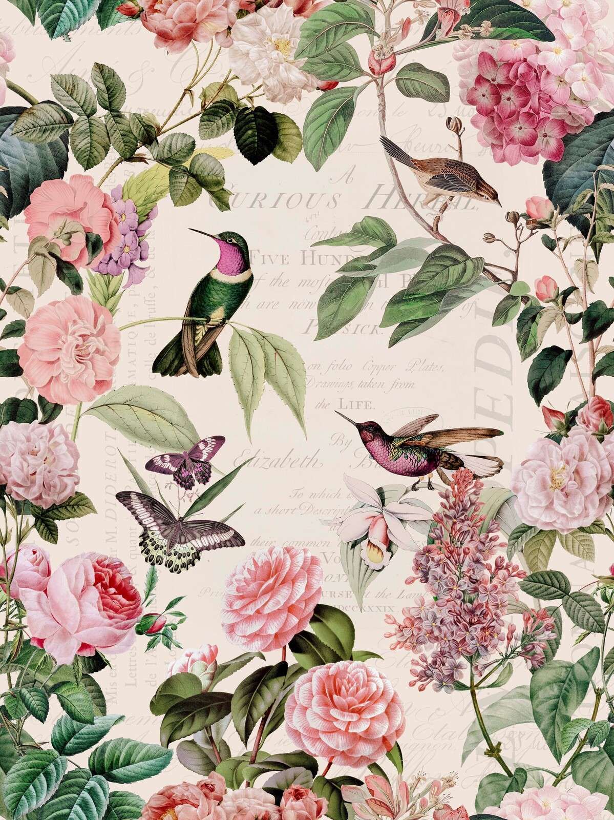 Kolibris und Rosen