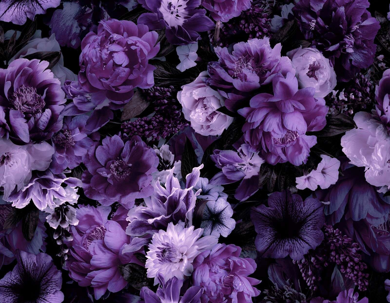 Florale barocke Opulenz in sattem Violett