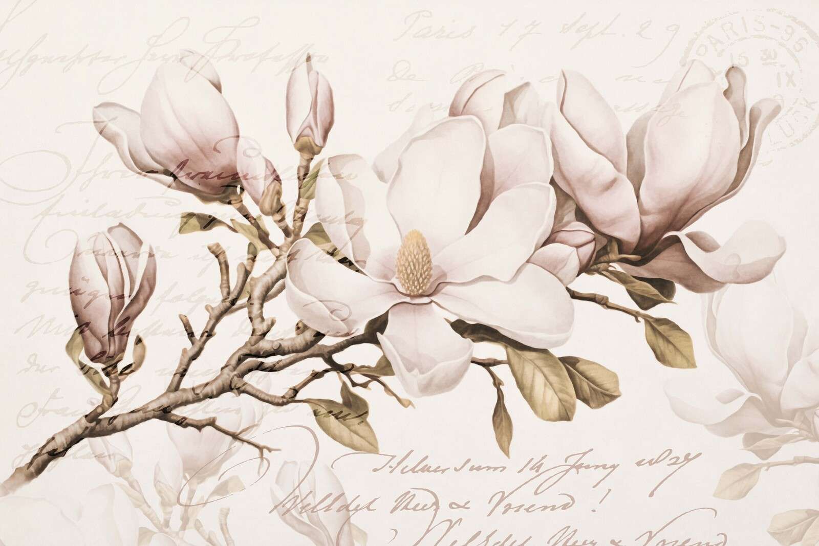 Magnolien-Frühlingsromanze nostalgische Blumenkunst