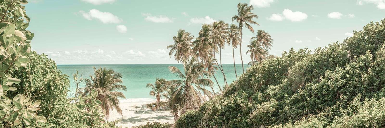 Tropischer Strand mit wehenden Palmen