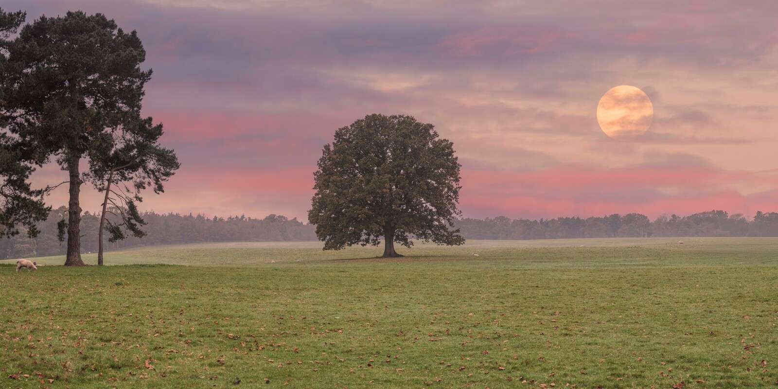 Mond über stiller Naturlandschaft
