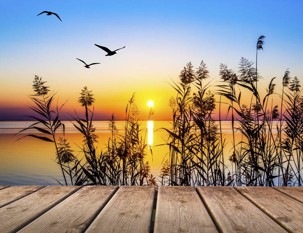 Sonnenuntergang am See